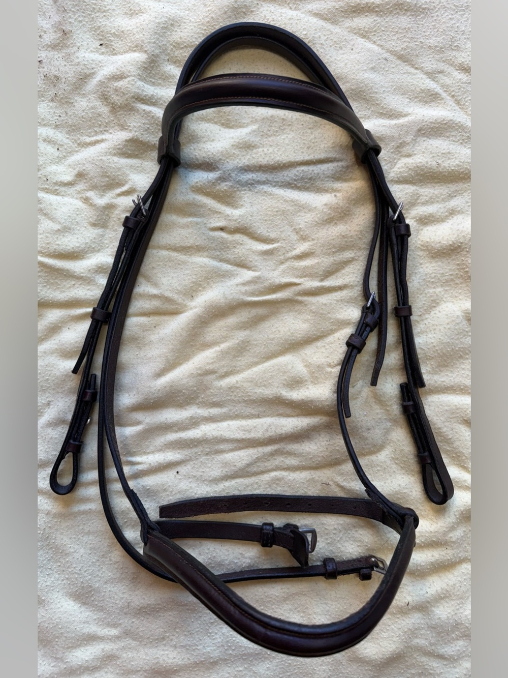 Brown cob round raise bridle